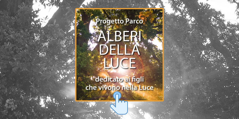 Fondazione Casa dell'Albero Onlus - Parco Alberi della Luce