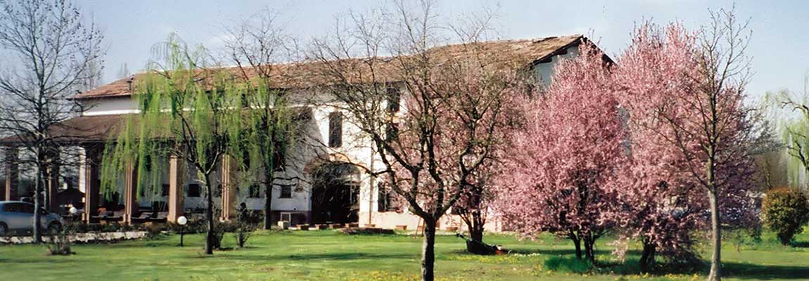 Fondazione Casa dell'Albero Onlus Fondazione Casa dell'Albero Onlus