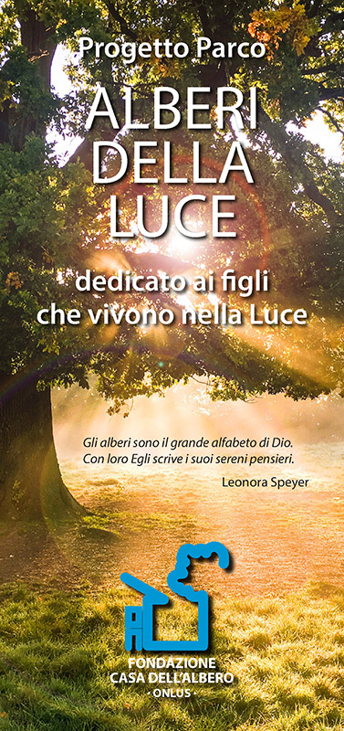 Fondazione Casa dell'Albero Onlus - Parco Alberi della Luce Fondazione Casa dell'Albero Onlus - Parco Alberi della Luce